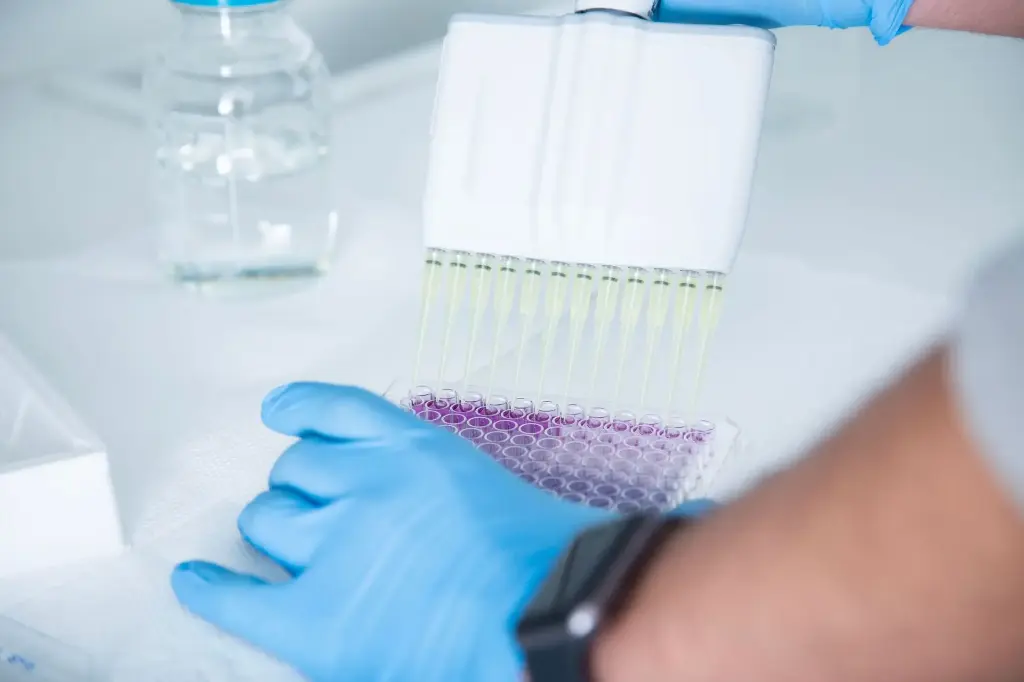 Bovine IGF-1 (Insulin-like growth factor 1) ELISA Kit - 96 Tests