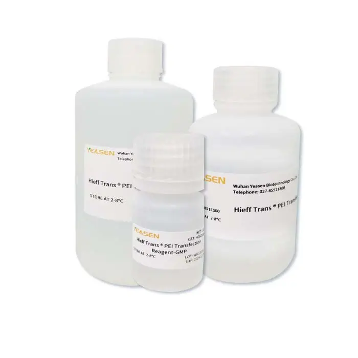 Hieff Trans™ in vitro siRNA/miRNA Transfection Reagent - 0.5 mL
