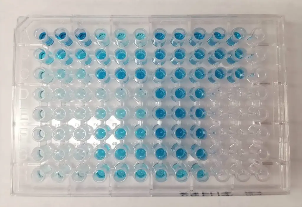 Pig NGAL ELISA Kit
