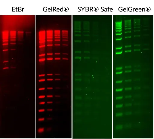 [0037-41003]  GelRed Nucleic Acid Stain 10,000X in water - 0.5 ml