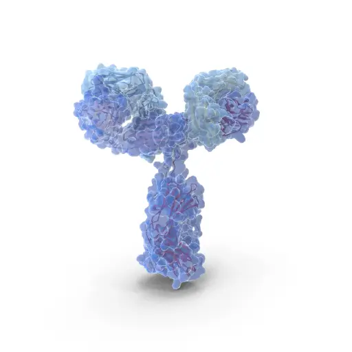 Anti-Malondialdehyde Mouse Monoclonal Antibody - 100 µg