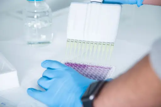 Bovine IGF-1 (Insulin-like growth factor 1) ELISA Kit - 96 Tests
