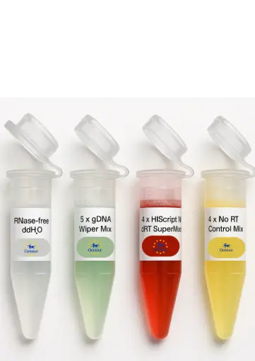 [GENR-423-01] HiScript IV RT SuperMix for qPCR (+gDNA wiper) 