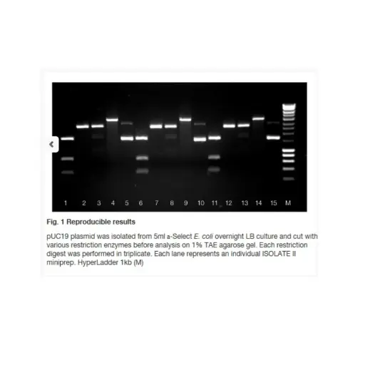 [GEN-BIO-52055] ISOLATE II Plasmid Mini Kit
