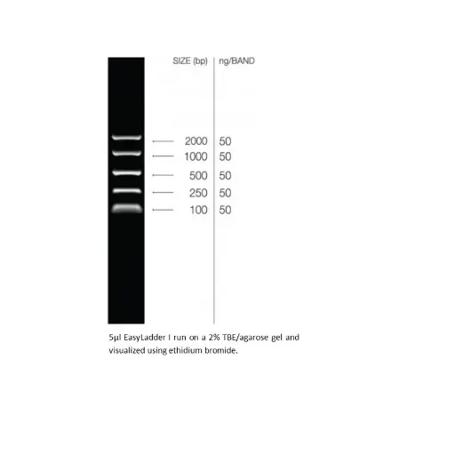 [GEN-BIO-33046] EasyLadder I