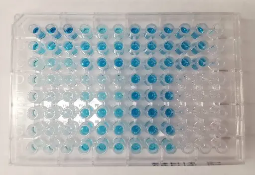 [GEN-KIT044] Pig NGAL ELISA Kit