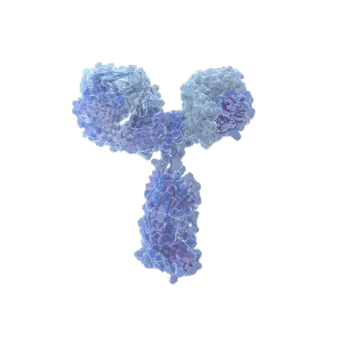 [ANT-ACL20018K] Antithrombin, Thrombin Complex, paired antibodies for EIA (capt.,a.p./detect,HRP)