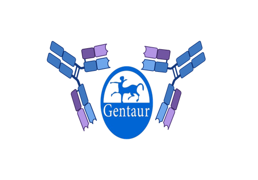 [GEN - GDX01-​1] Petscreen Giardia Ag