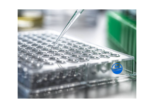 [GEN - ECM0013-6] IgG ELISA, Camel